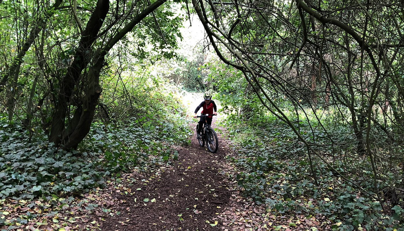 Nature in the City: Presidio and Golden Gate Park