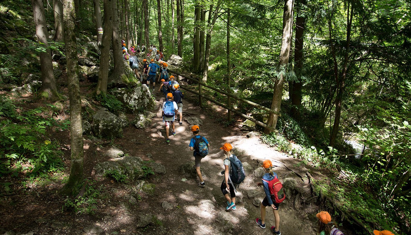 kids hiking in the forest