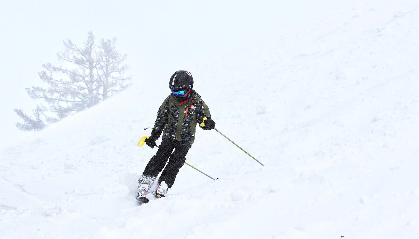 Shred Dog Ski Kid Shredding in Snow